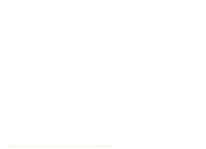 基本情報