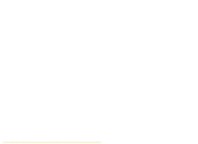 カナリオの2大名物